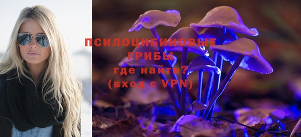 mix Богородск