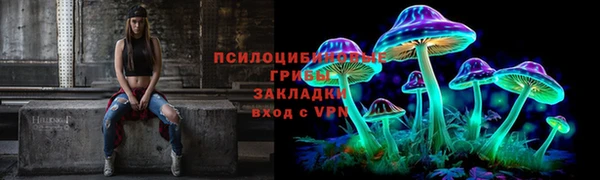 герыч Бронницы