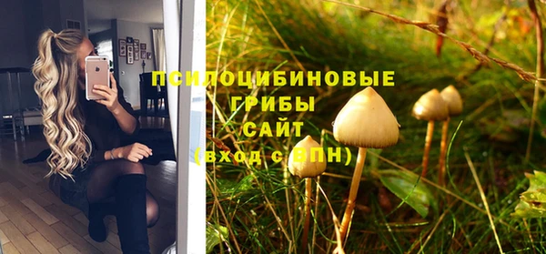МДМА Бородино